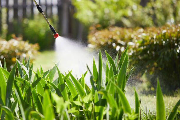 24/7 Emergency Mosquito Control experts in Rawlins, WY