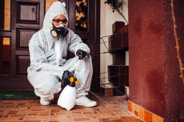 Reliable Mosquito Control contractor in Rawlins, WY by Show Me Pest Control